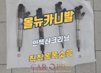 올뉴카니발 인젝터동와샤터짐 정비