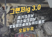 그랜저ig 3.0 흡기, 인젝터, 연소실 크리닝과 오일누유 정비