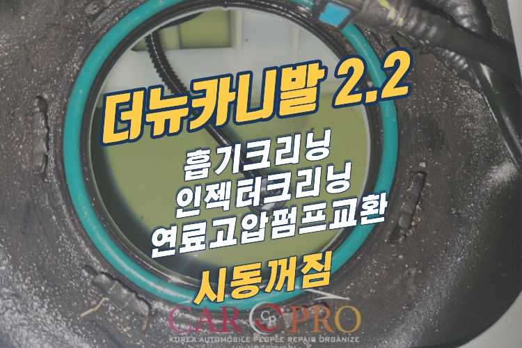 더뉴카니발.jpg